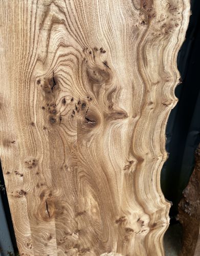 200 x 100 Burred Elm