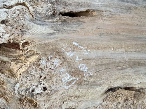 240 x 100 Burr Chestnut Single Slab DRV45