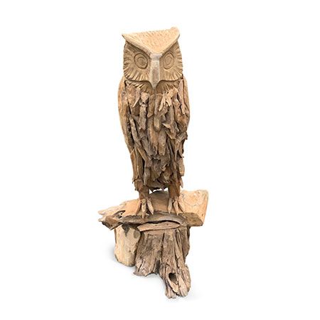 Teak Root Owl