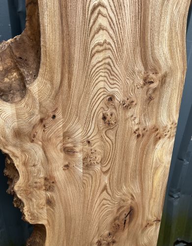 200 x 100 Burred Elm