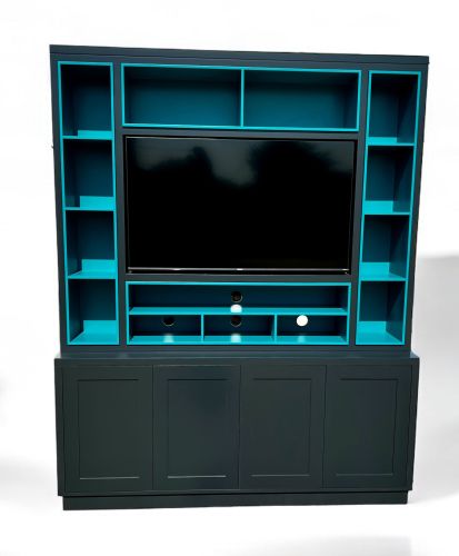 Module Media Unit (Includes new TV!)