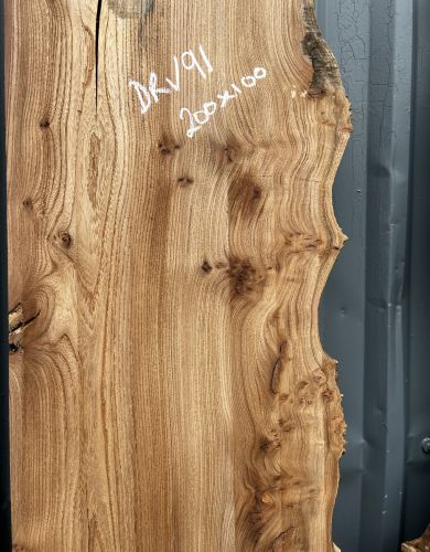 200 x 100 Burred Elm