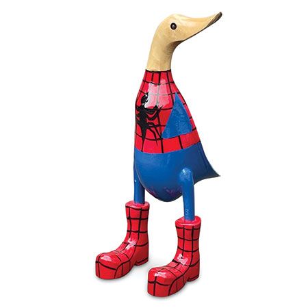 Spider Duck