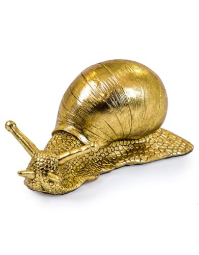 Gold Snail