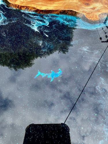 Hammerhead Shark Coffee Table