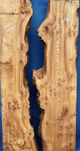 200 x 100 Burred Elm