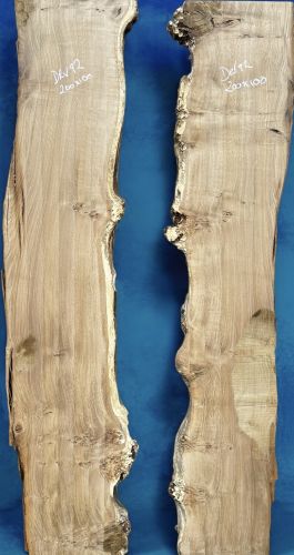 200 x 100 Burred Oak