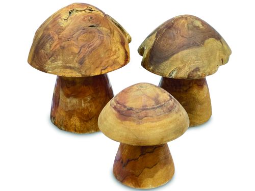 Set of 3 Teak Root Mushrooms