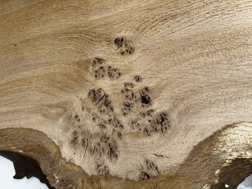200 x 100 Burr Oak Diagonal