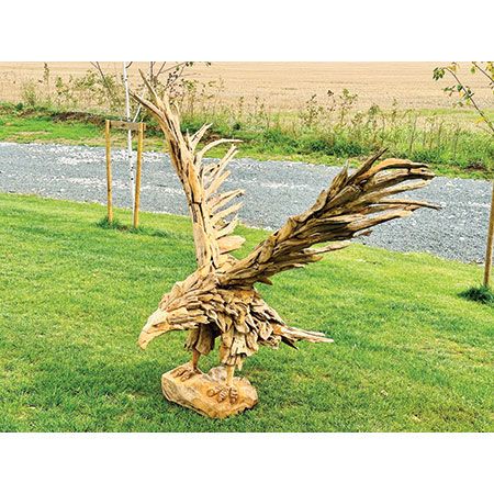 Teak Root Eagle