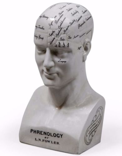 Large Antiqued Ceramic Phrenology Head