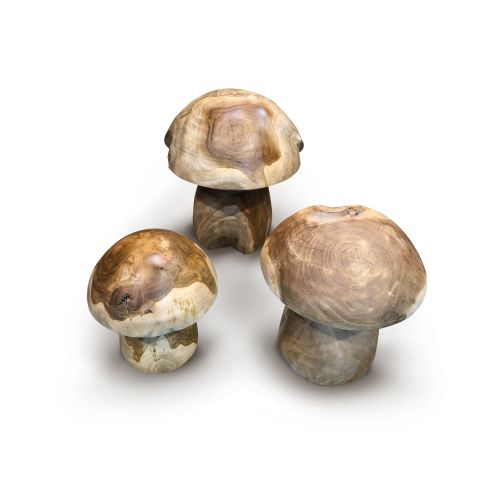 Set of 3 Teak Root Mushrooms