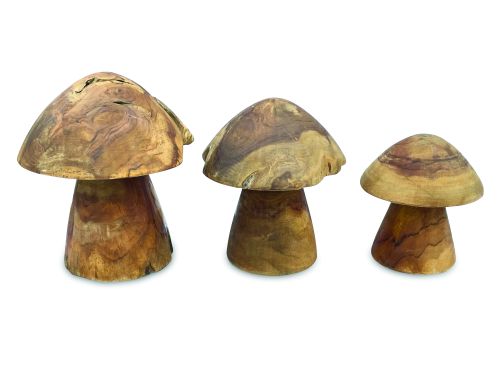 Set of 3 Teak Root Mushrooms