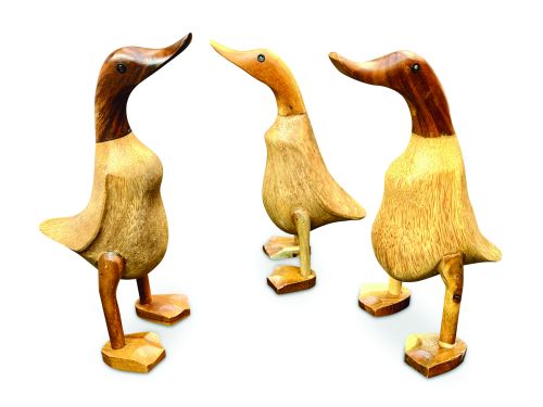 Teak Root Smooth Duck, small