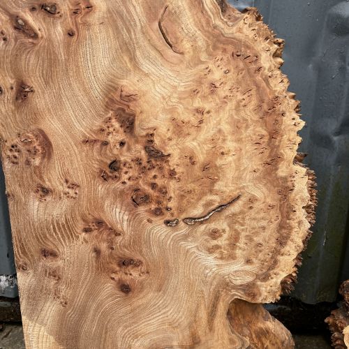 90 x 60 Burr Elm Coffee Table DRV71