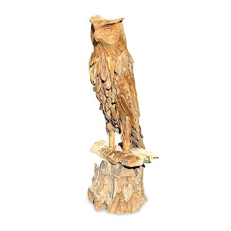 Teak Root Owl