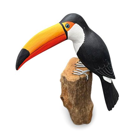 Toucan