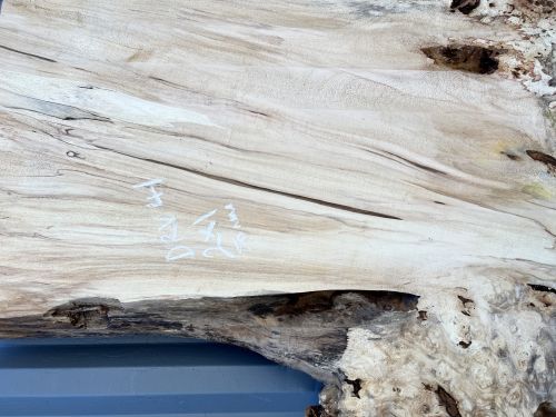 200 x 100 Burr Chestnut Single Slab DRV41