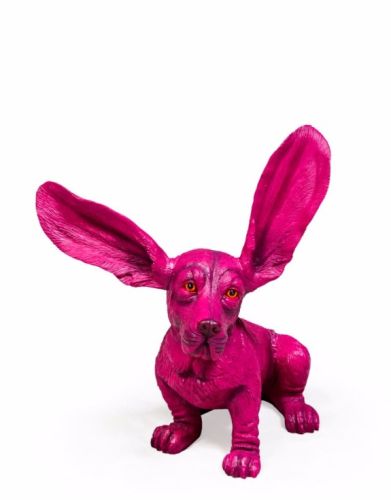 Surprised Basset, Pink