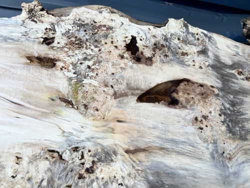 200 x 100 Burr Chestnut Single Slab DRV41