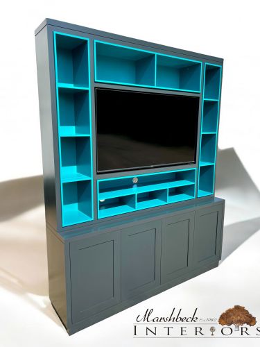 Module Media Unit (Includes new TV!)