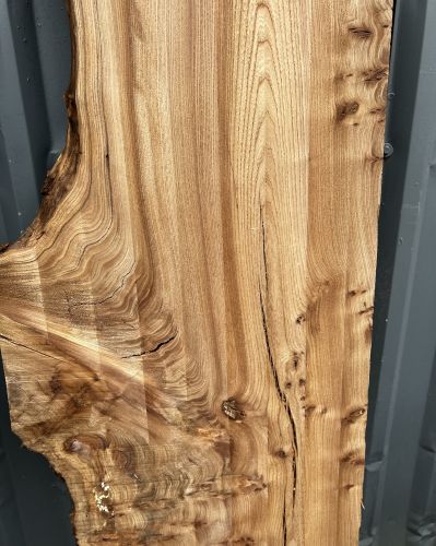 200 x 100 Burred Elm