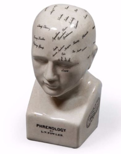 Small Antiqued Ceramic Phrenology Head