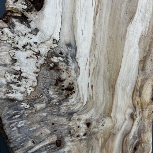 200 x 100 Burr Chestnut