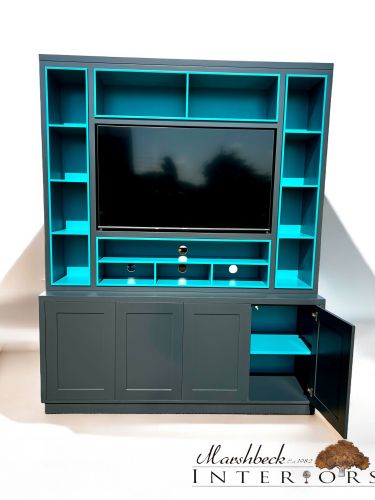 Module Media Unit (Includes new TV!)