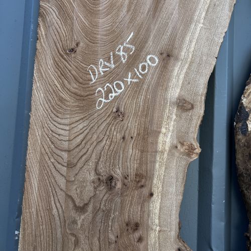 220 x 100 Character Elm
