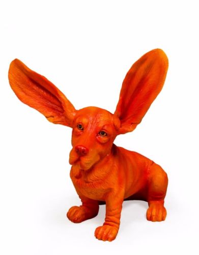 Surprised Basset, Orange