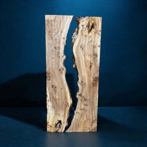 220 x 100 Character Elm