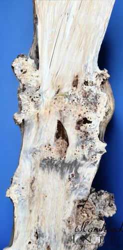 200 x 100 Burr Chestnut Single Slab DRV41
