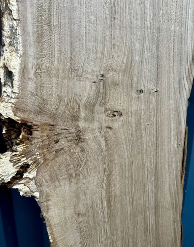 200 x 100 Burred Oak