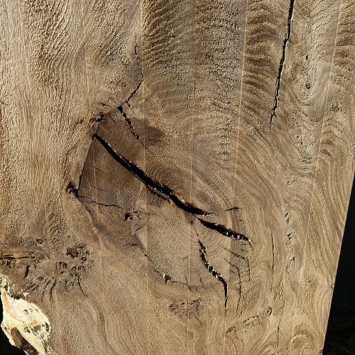 200 x 100 Burred Oak DRV67