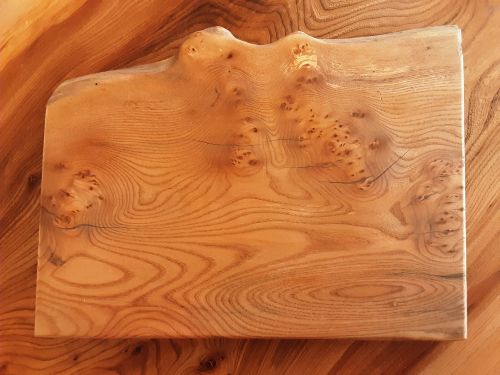 Elm Serving/Chopping Board by Marshbeck