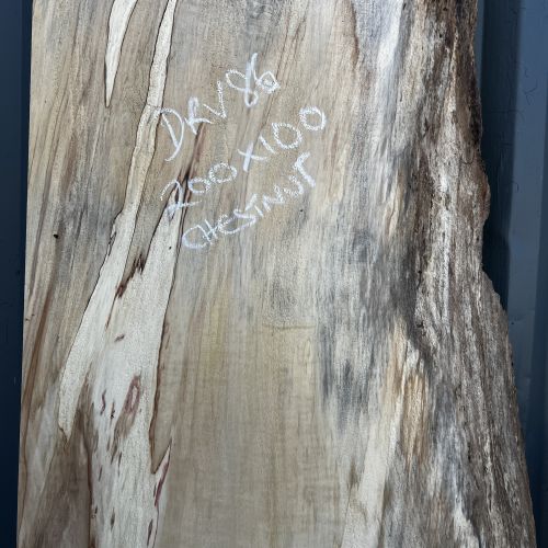 200 x 100 Burr Chestnut