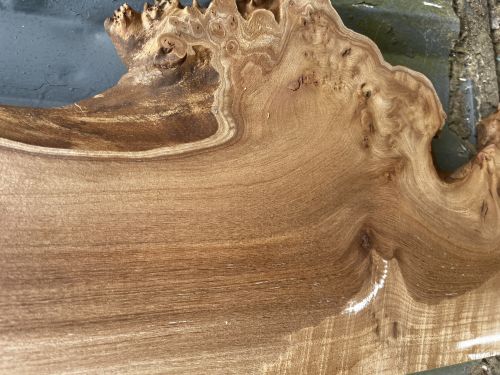 90 x 30 Burr Elm Console Table DRV75