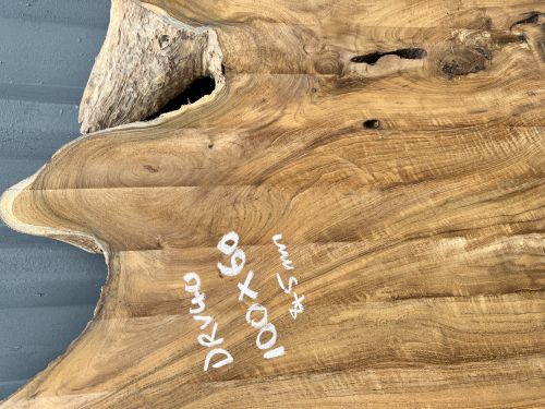 100x60  Teak Slab Coffee Table DRV40