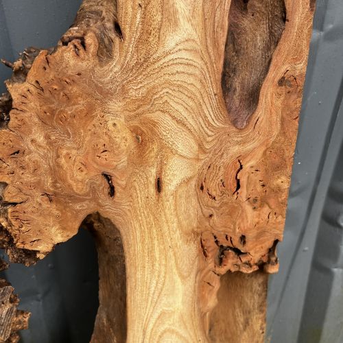 90 x 60 Burr Elm Coffee Table DRV60
