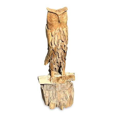 Teak Root Owl