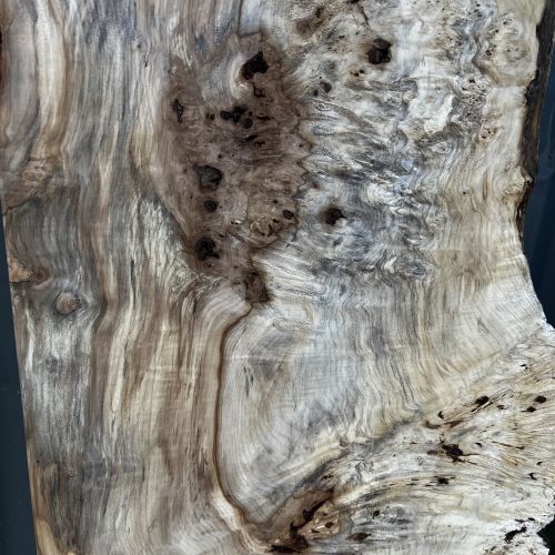 200 x 100 Burr Chestnut