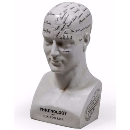 Large Antiqued Ceramic Phrenology Head