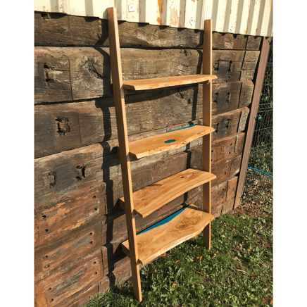 Olive & Resin Ladder Bookshelf  (SOLD)