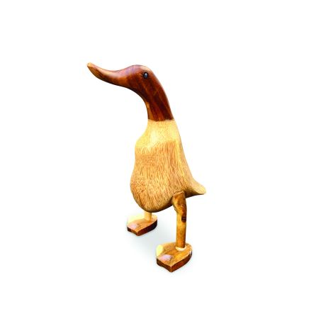 Teak Root Smooth Duck, small