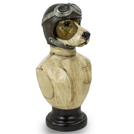 Racing Driver Dog Bust