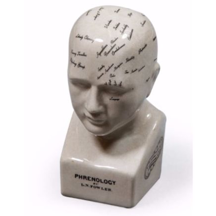 Small Antiqued Ceramic Phrenology Head